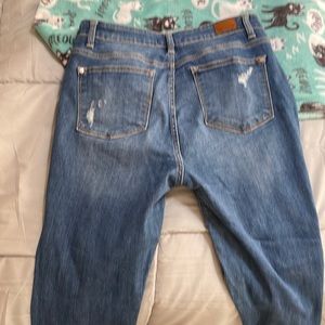 Judy Blue Skinny jeans